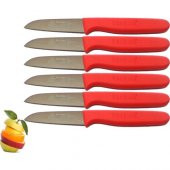 Sürmene Sürbisa 061007 Meyve Bıçağı 6 Lı Set Fuşya - 1