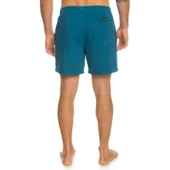 Quıksılver VERT 16 M JAMV  Erkek Şort EQYJV03987-BSG0 thumbnail 2