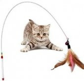 Kedi oyun oltası - 1