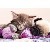 Educa 500 Parçalı Puzzle Sevimli Dostlar Kedi ve Köpek Puzzle Educa 500 Parça Yapboz Serisi - 1