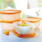 Tupperware Alaska Serisi Derin Dondurucu Saklama Kabı 4Lü Set - 2
