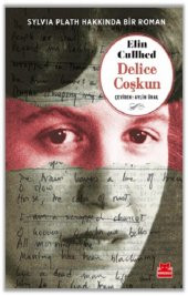 Sylvia Plath Hakkında Bir Roman - 1