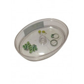 Z65W19 ÇEKMECE İÇİ KOZMETİK VE TAKI DÜZENLEYİCİ OVAL 18x11x3cm - 4