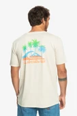 Quiksilver EQYZT07252 Pastımeparadise Erkek T-shirt thumbnail 3