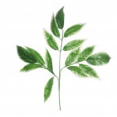 50x50cm Yapay Yaprak Dal - 1