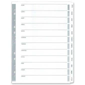 Bafix Seperatör Aylar Karton A4 Ocak - Aralık Seperatör - 1