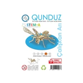 Ahşap Maket Stema Maketleri 4.Seviye Klasik Çalışkan Arı - 1