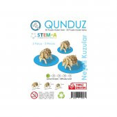 Ahşap Maket Stema Maketleri 1.Seviye Kuzu (3 Adet) - 1