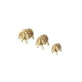 Ahşap Maket Stema Maketleri 1.Seviye Kuzu (3 Adet) - 2