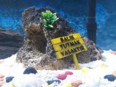 Akvaryum Dekoru Balık Tutmak Yasaktır Tabela Plastik Aparat - 4
