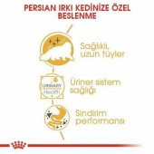 Royal Canin Persian Yetişkin Kedi Yaş Maması 85 Gr 12 Li - 3