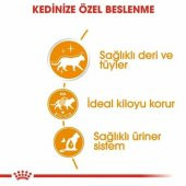 Royal Canin Intense Beauty Yetişkin Kedi Yaş Maması 85 Gr 12 Li - 4