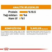 Royal Canin Intense Beauty Yetişkin Kedi Yaş Maması 85 Gr 12 Li - 5