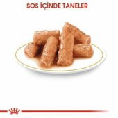 Royal Canin British Shorthair Yetişkin Kedi Yaş Maması 85 Gr 12 Li - 2