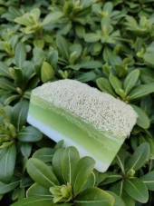 Doğal Kabak Lifli Sütlü Aloe Vera Sabun - 1