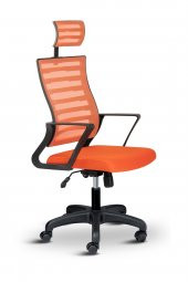 Asbir Mobilya Capri Başlıklı Fileli Ofis Koltuğu Çalışma Koltuğu Bilgisayar Sandalyesi - 1