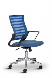 Asbir Mobilya Capri Fileli Ev Ofis Koltuğu Çalışma Koltuğu Bilgisayar Sandalyesi - 1