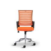 Asbir Mobilya Capri Fileli Ev Ofis Koltuğu Çalışma Koltuğu Bilgisayar Sandalyesi - 2