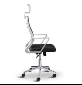 Asbir Mobilya Ceo Fileli Başlıklı Metal Ayaklı Çalışma Koltuğu Ofis Sandalyesi Siyah - 2