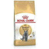 Royal Canin British Shorthair Adult Yetişkin Kedi Maması 4 kg - 1