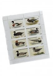 Ördek Temalı Ekvator Ginesi Damgasız 8'li Blok Pul thumbnail 1