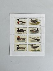 Ördek Temalı Ekvator Ginesi Damgasız 8'li Blok Pul thumbnail 2