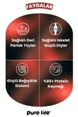 Pure Life Prime Biftekli Yetişkin Köpek Maması 15 kg - 3