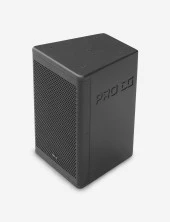 Pro DG i106 6" 440Watt Pasif Kabin Hoparlör - 1