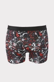 Renkli Boya Desen Boxer - 3