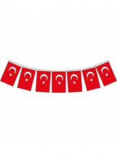 VATAN BAYRAK ATA  IPLI MINIK 50 LI thumbnail 1