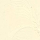 Cadence Akrilik Ahşap Boyası 120ml 0355 Bej thumbnail 1