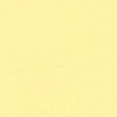 Cadence Akrilik Ahşap Boyası 120ml 0650 Fil Dişi thumbnail 1