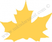 Cadence Su Bazlı Yaldız Boya 120ml 110 Extra Gold - 1