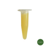 Veniv 3v Keiki Macunu- Orkide Çoğaltma Macunu 1,5 Gr - 1