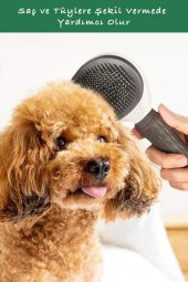 Pet Tarağı Otomatik Temizlenen Tuşlu Evcil Hayvan Fırçası Kedi Köpek Tüy Toplayıcı Tarak - 4