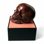 Anatomik İnsan Erkek Kafatası (11/7/2020 Güncellendi) Plastik Aparat - 3