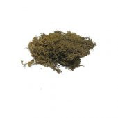 JORDANIA YOSUN 1013 ACIK YESIL 10gr JE00-0501013 - 1