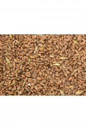 YEMLİK TEMİZ ELENMİŞ 25 KG BUĞDAY thumbnail 1