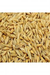 Arpa (yemlik) 10kg ÖZEL LAMİNELİ ÇANTASINDA - 1