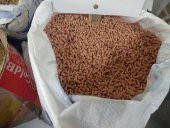 OPTİMA YETİŞKİN GÜVERCİN YEMİ 1000gr - 2