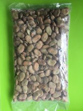 SAKIZ BAKLA TOHUMLUK 1 KG - 1