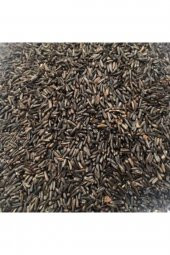 Bird Nijer Kuş Yemi Doğal Kızıştırıcı (500 Gr) - 1