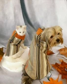 Stripe Orange Su itici Köpek Yağmurluğu thumbnail 5