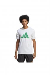 Adidas Erkek Tişört Tr-Es Fr Logo T IC1219 - 1