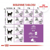 Royal Canin Sterilised 37 Kısırlaştırılmış Kedi Maması 4kg - 2