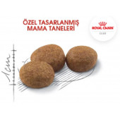 Royal Canin Sterilised 37 Kısırlaştırılmış Kedi Maması 4kg - 3