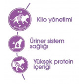 Royal Canin Sterilised 37 Kısırlaştırılmış Kedi Maması 4kg - 4