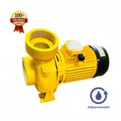 Vortex CS 300 M-T - 3" - 6,5 mt. Emişli Sulama Damlama Santrifüj Pompa - 3 Hp - 1