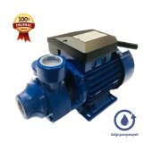 Amega TM 45 Preferikal Sürtme Fanlı Pompa - 0,5 Hp - 1