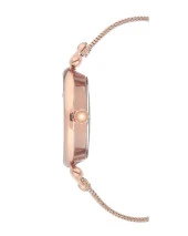 ANNE KLEIN AK-3000RGRG Kadın Kol Saati thumbnail 3